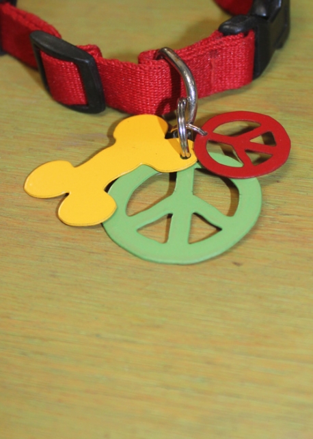 Pet tag design options.  (Pet collar not included.)